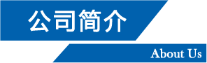 公司簡(jiǎn)介